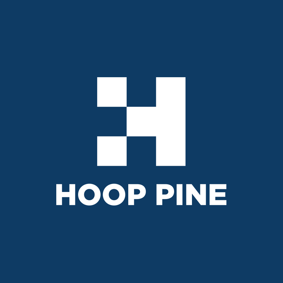 Brand identity design for Hooppine